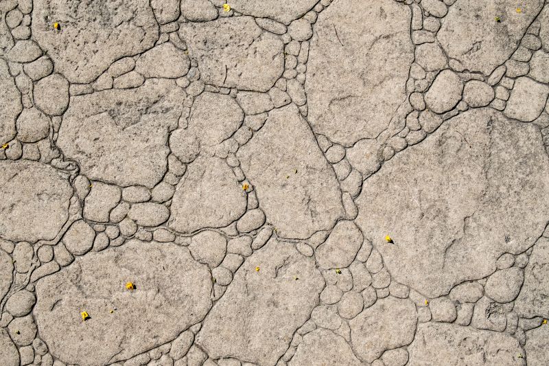 Decorative Concrete Repair in Littleton, CO